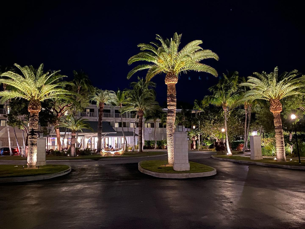 Commercial Landscape Lighting in South East Louisiana